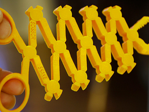 The Scissor Snake Family