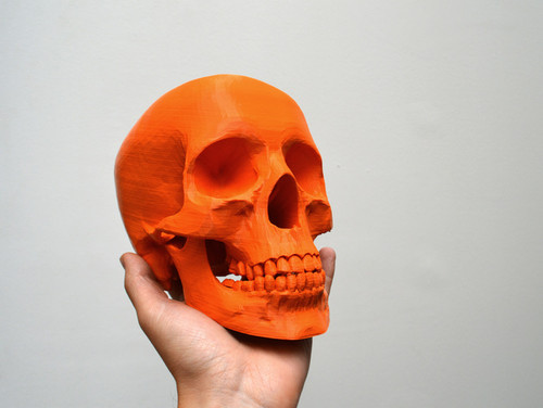 To Make or not to Make, Simplified human skull