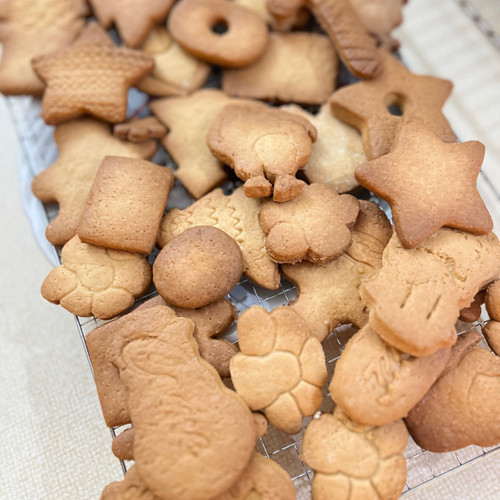 Turkey cookie cutter set