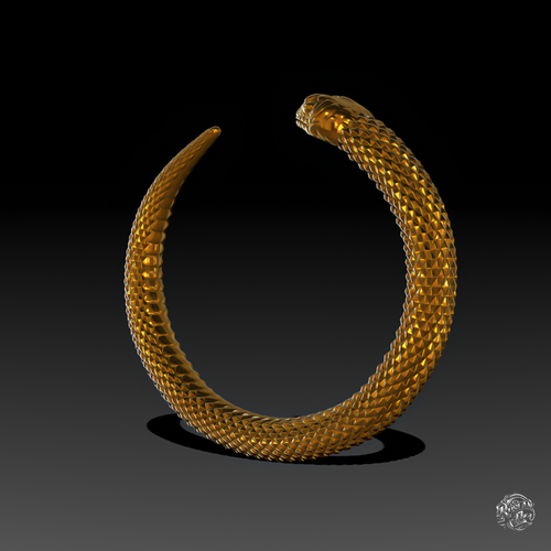 Snake - Symbol of Rebirth Bracelet